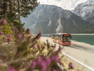 Neue Busverbindung zum Plansee startet ab 1. Mai
